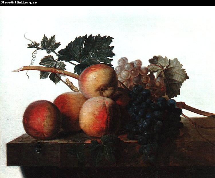 John Johnston Still Life with Fruit fhf